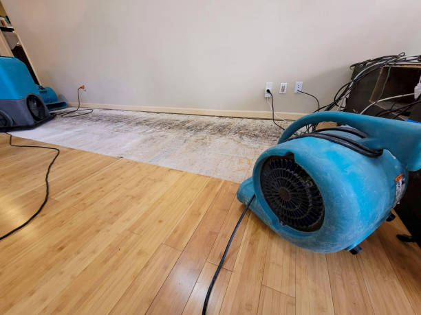 Professional Water Extraction technician working in North Stratford, NH